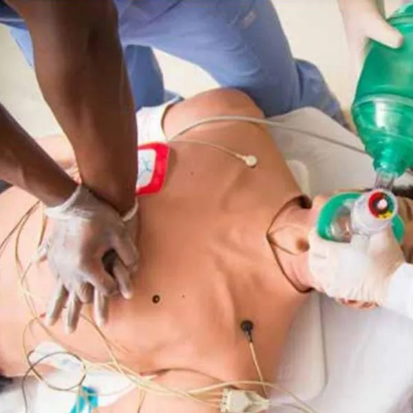 Apollo Adult Patient Simulator - Nursing