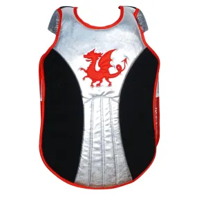 Knights & Dragons Tunic Set