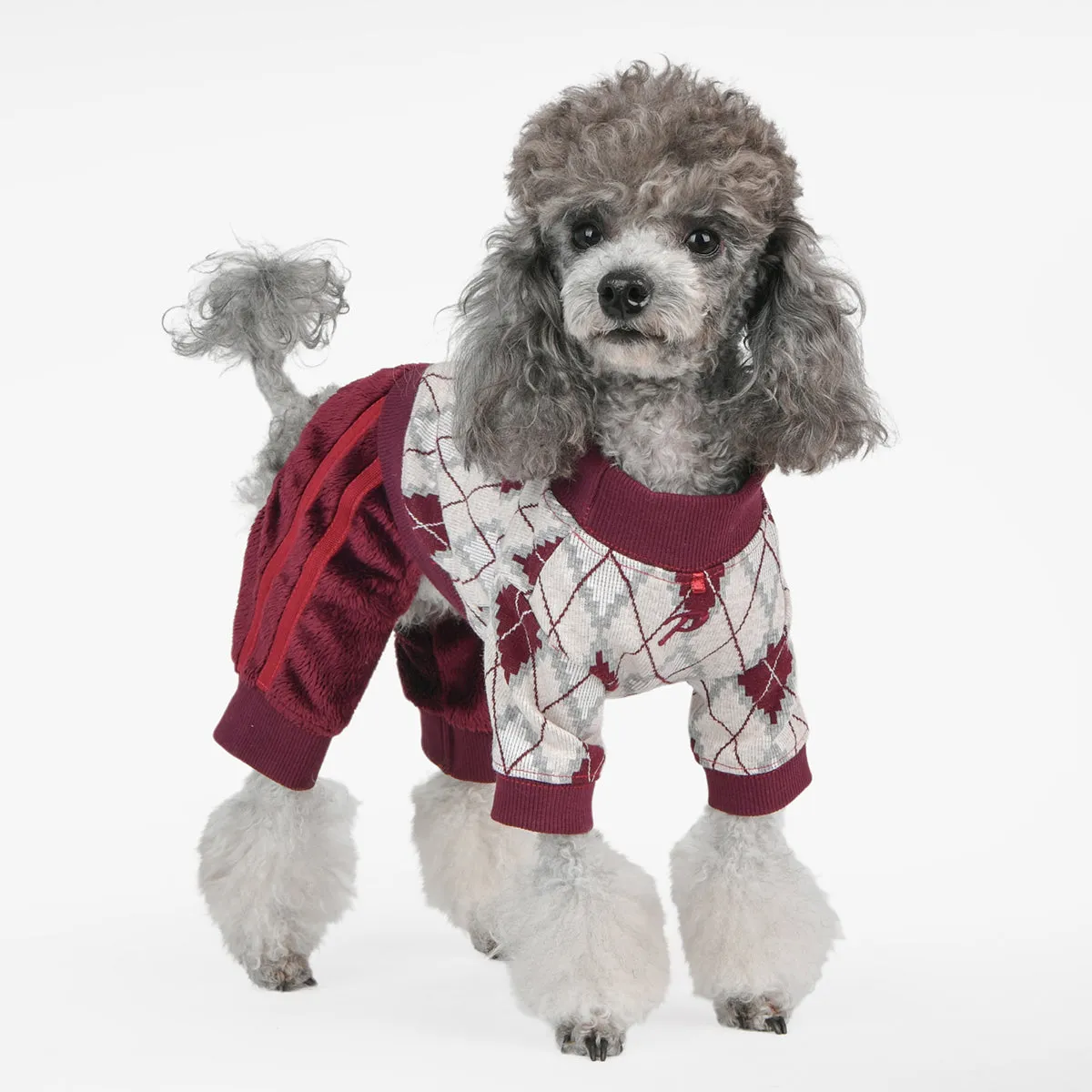 Vance Dog Jumper